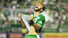 Leandro Comemora Gol Chapecoense Santos Campeonato Brasileiro 25/10/2014