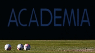 Palmeiras realiza visitas guiadas na Academia de Futebol