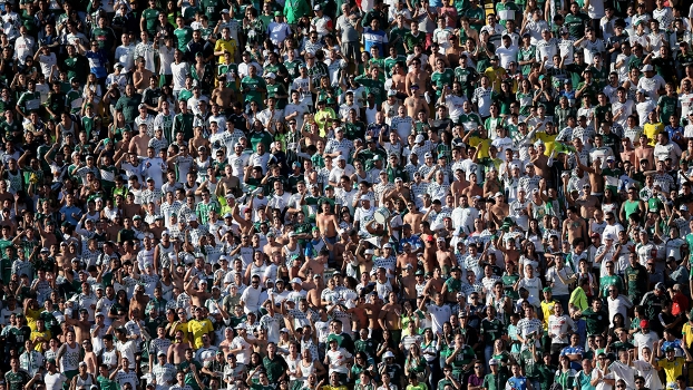 Brinde à vitória e distribuição de camisas: palmeirenses se dividem no clube