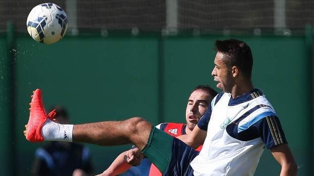 Sob orientação de Gareca, Palmeiras volta a treinar com bola