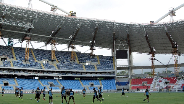 Botafogo treinou esta semana no campo principal do Engenhão, que tem obras na cobertura Botafogo treinou esta semana no campo principal do Engenhão, que tem obras na cobertura