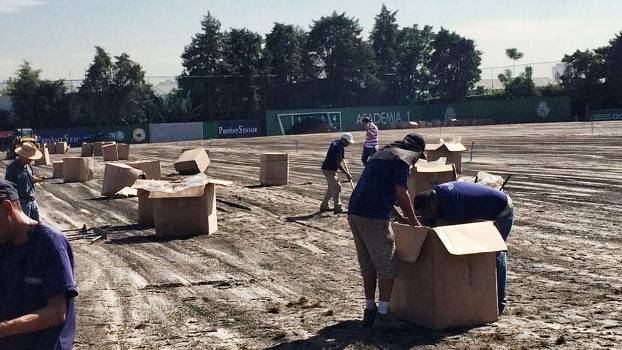 Palmeiras investe e 'copia' gramado do Allianz Parque também no CT 