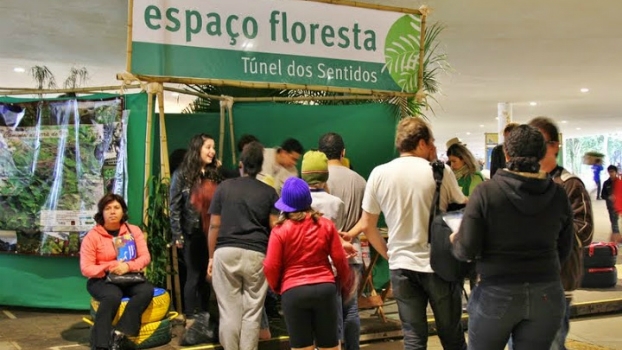 Sentindo a floresta. Sentindo a floresta.