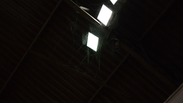 Jogador dos Bulls se assusta com teia de aranha gigante em ginásio do Flamengo